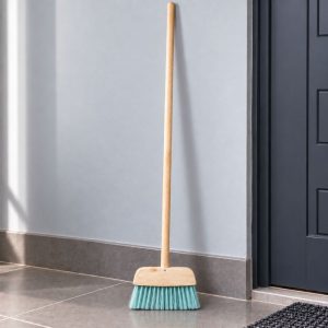 adv-sml-whiska-broom-155x165-asst
